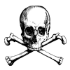 skeleton.gif (5134 bytes)